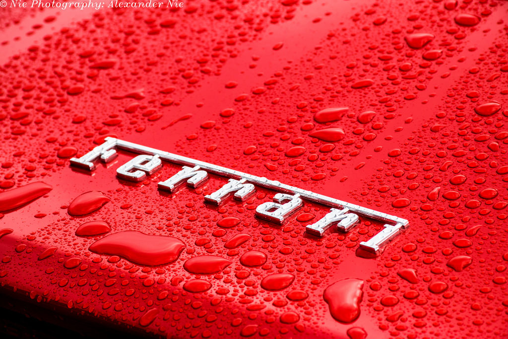 Wax your car, keep it clean
