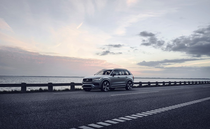 The Volvo XC90 is super spacious, perfect for dogs.